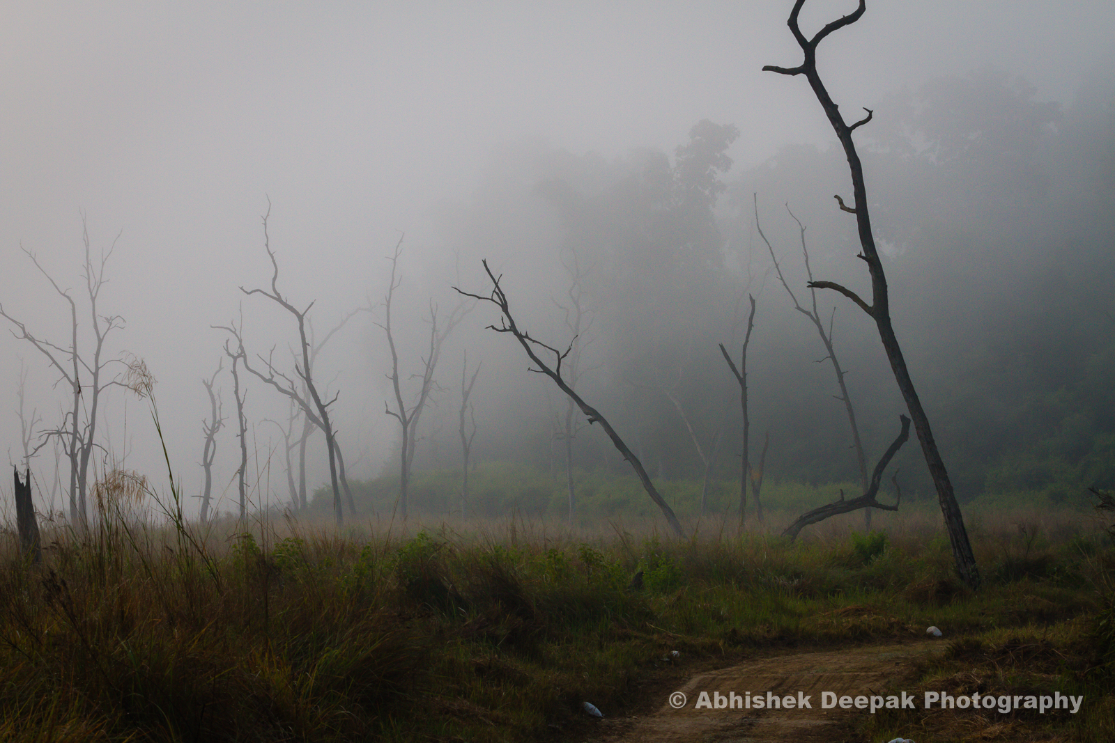 Landscapes of Rajaji National Park Abhishek Deepak